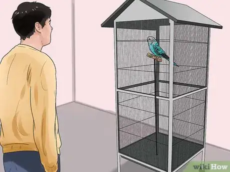 Imagen titulada Stop a Budgie from Biting Step 6