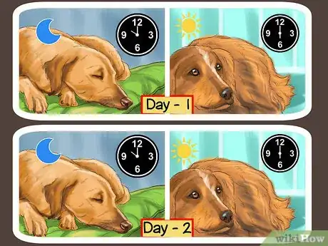 Imagen titulada Help Your Senior Dog Sleep Better Step 3