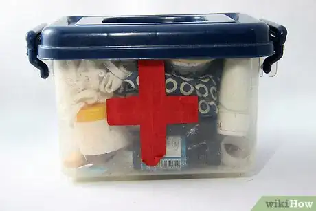 Imagen titulada Pack an Emergency Kit for the House Step 2