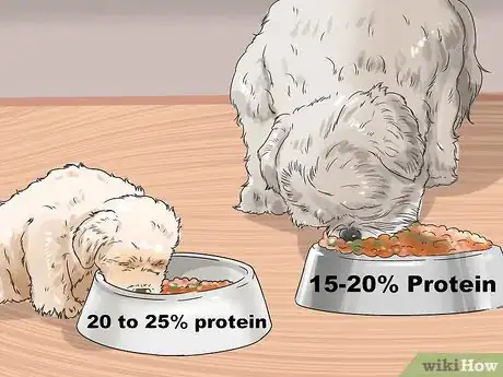 Imagen titulada Feed Your Shih Tzu Step 11