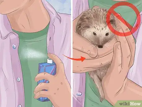 Imagen titulada Tame a Hedgehog Step 4