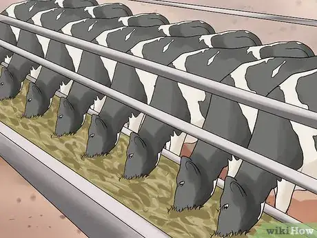 Imagen titulada Start a Dairy Farm Step 12