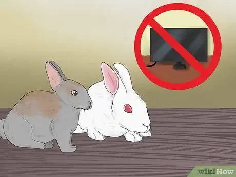 Imagen titulada Catch a Pet Rabbit Step 2