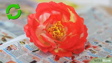 Imagen titulada Dye Flowers Step 29