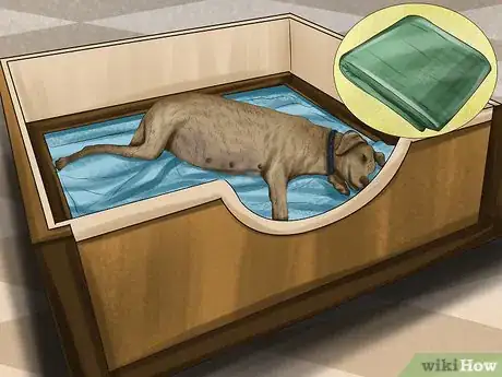 Imagen titulada Predict when Your Dog Will Whelp Her Puppies Step 7