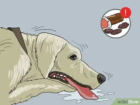 Imagen titulada Treat a Panting Dog Step 9