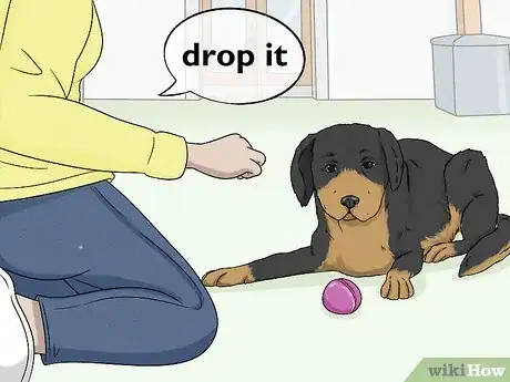 Imagen titulada Teach Your Dog to Drop It Step 7