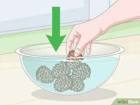 Imagen titulada Clean Pine Cones Step 5