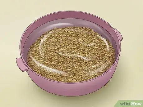 Imagen titulada Use Fenugreek Seeds Step 1