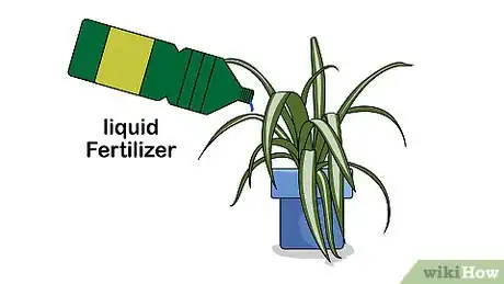 Imagen titulada Care for a Spider Plant Step 6