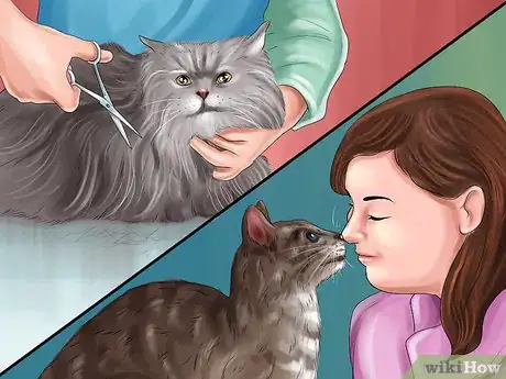 Imagen titulada Become a Cat Person Step 2