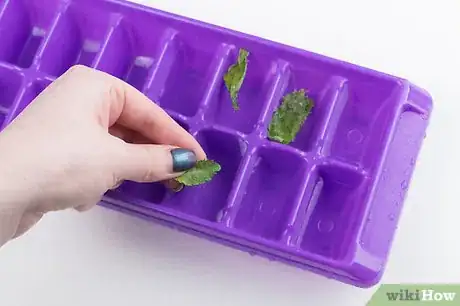 Imagen titulada Make Ice Cubes with an Ice Tray Step 9