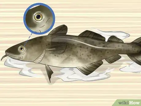 Imagen titulada Dry Fish Step 15