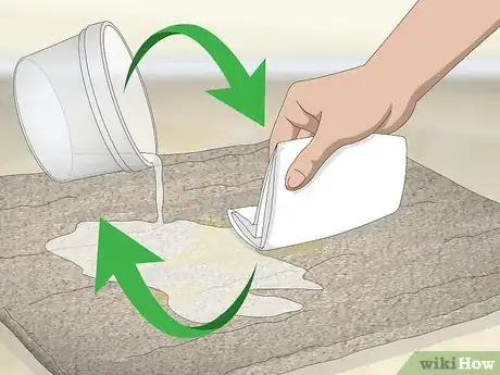 Imagen titulada Remove Old Dog Urine Stains Step 4