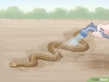 Imagen titulada Get Rid of Snakes Step 7