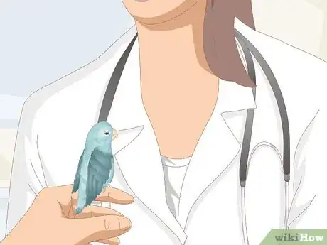 Imagen titulada Care for a Sick Pet Bird at Home Step 10