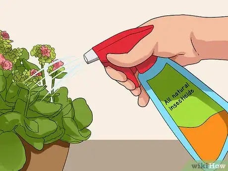 Imagen titulada Grow Kalanchoe Step 14