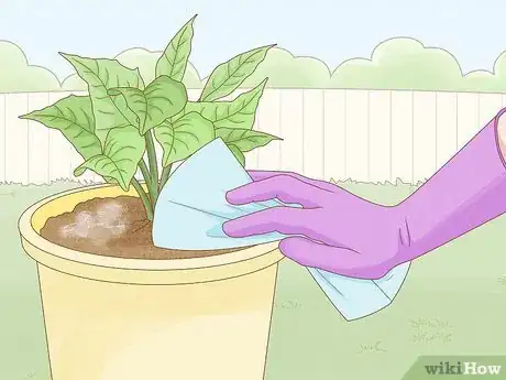 Imagen titulada Get Rid of Mold on Houseplants Step 7