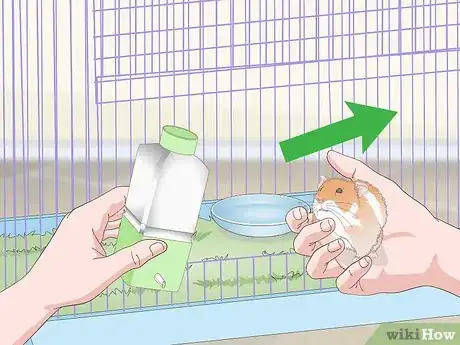 Imagen titulada Keep a Hamster Clean Step 11