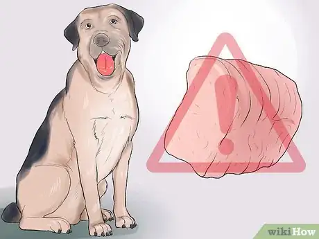 Imagen titulada Avoid Foods Dangerous for Your Dog Step 14