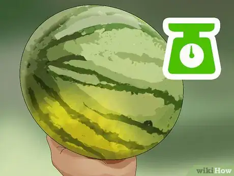 Imagen titulada Choose a Melon Step 8