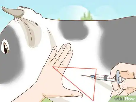 Imagen titulada Give Cattle Injections Step 23