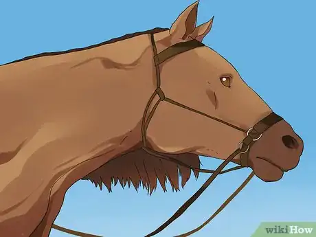 Imagen titulada Choose a Bit for a Horse Step 10