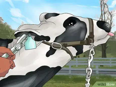 Imagen titulada Start a Dairy Farm Step 10