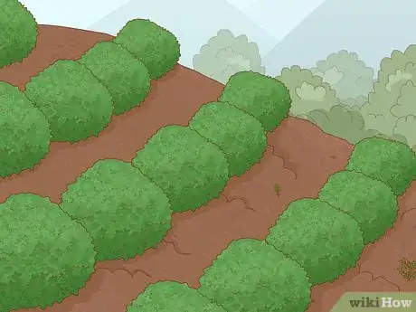 Imagen titulada Prevent Soil Erosion Step 1