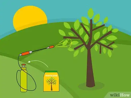 Imagen titulada Care for Mature Apple Trees Step 14