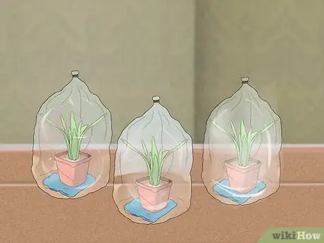 Imagen titulada Water Plants While You're Away Step 32