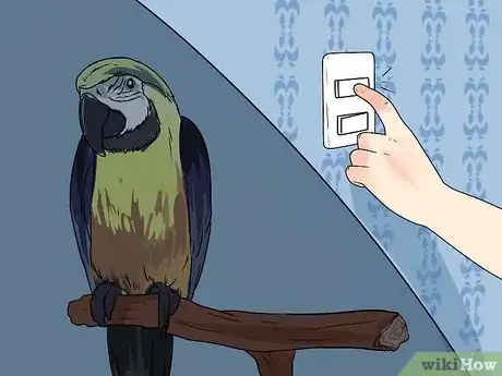 Imagen titulada Train Parrots to Make Less Noise Step 8