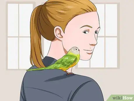 Imagen titulada Gain Your Parakeet's Trust Step 9