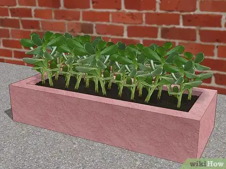 Imagen titulada Make Concrete Planters Step 14