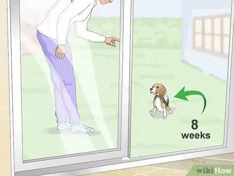 Imagen titulada Train Your Beagle Step 1