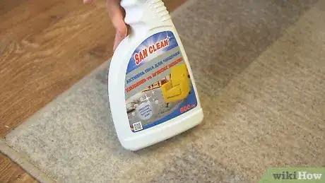 Imagen titulada Dry Clean a Carpet at Home Step 1