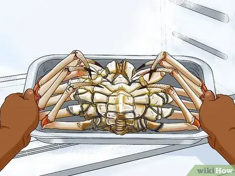 Imagen titulada Cook Spider Crab Step 1