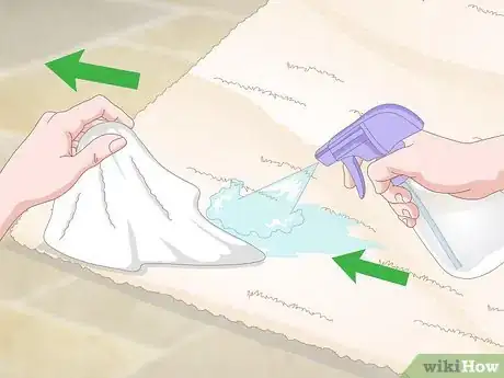 Imagen titulada Remove Tea Stains from Carpet Step 17