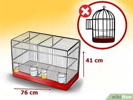 Imagen titulada Keep a Canary Entertained Step 1