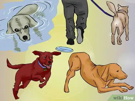 Imagen titulada Exercise With Your Dog Step 1