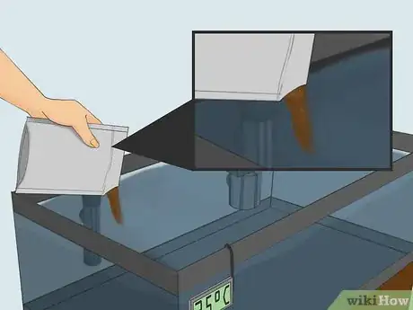 Imagen titulada Raise Brine Shrimp Step 12