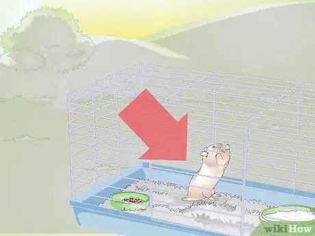 Imagen titulada Wake up Your Hamster Without Scaring It Step 11