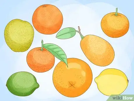 Imagen titulada Use Citrus Fruit Peels in the Home and Garden Step 1