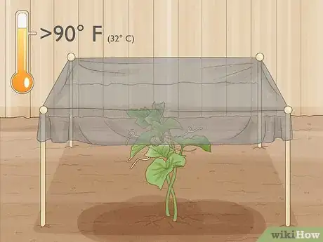 Imagen titulada Grow Cucumbers Step 16