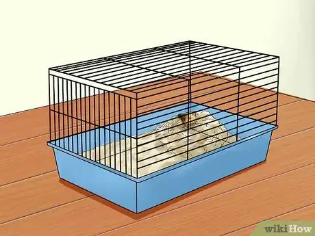 Imagen titulada Care for Newborn Hamsters Step 3