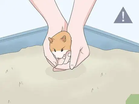 Imagen titulada Deal With Your Hamster Dying Step 6