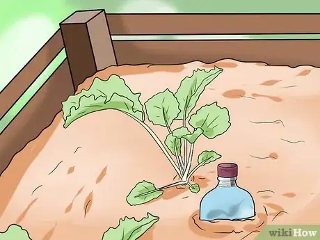 Imagen titulada Water Plants While You're Away Step 21