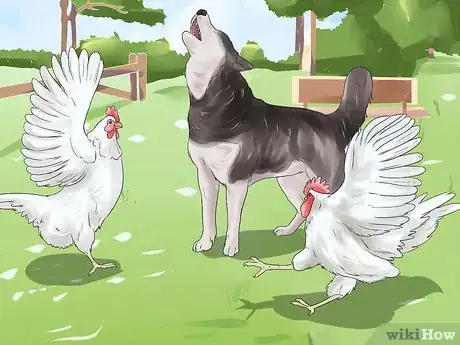 Imagen titulada Train a Dog to Protect Chickens Step 15