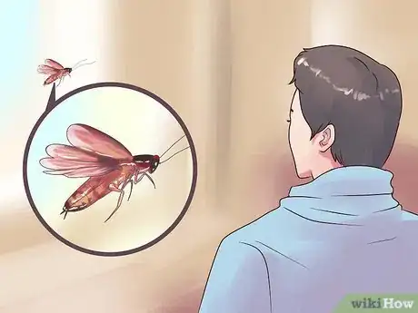 Imagen titulada Identify a Cockroach Step 5