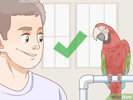 Imagen titulada Know if a Macaw Is Right for You Step 5